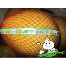 Comprar suco de pomelo de frutas de pomelo doce na china